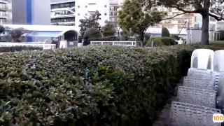 日韩av波霸ol➕av天堂国产在线